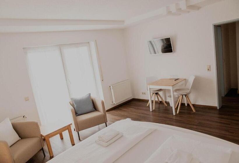 Номер Стандарт, Pension Frisia