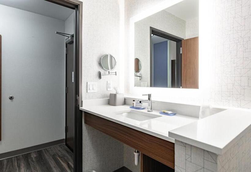 Номер Стандарт Адаптированный для Инвалидов, Holiday Inn Express & Suites   Moundsville, An Ihg