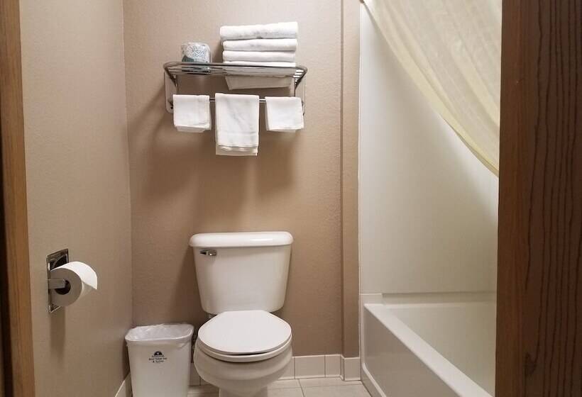 带2个双人床的标准工作室, Americas Best Value Inn And Suites Bismarck