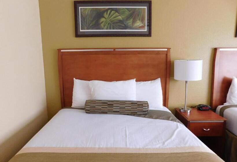 Quarto Estandar 2 Camas Casal, Deer Haven Inn