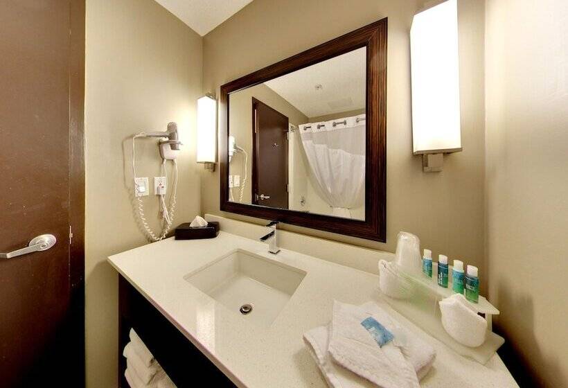 Номер Стандарт, Holiday Inn Express Hotel & Suites   Edmonton International Airport, An Ihg