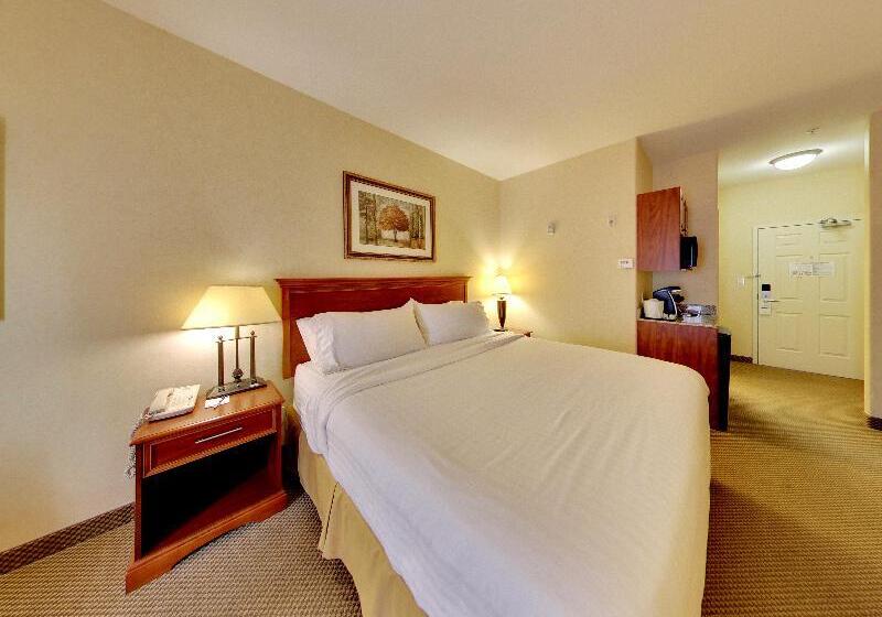 Стандартный Номер Кровать Кинг, Holiday Inn Express Hotel & Suites   Edmonton International Airport, An Ihg