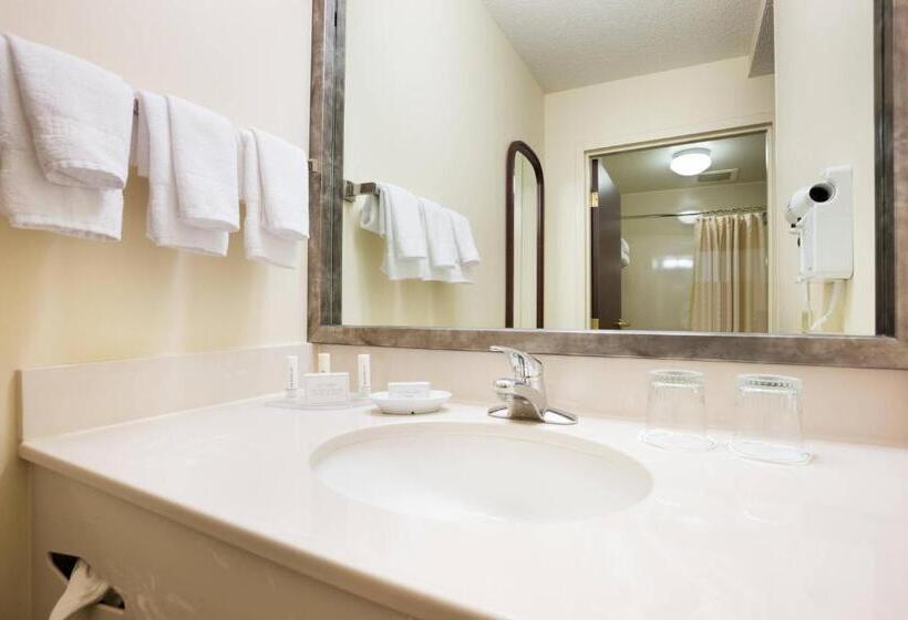 Suíte para Deficientes Físicos, Springhill Suites Minneapolis Eden Prairie