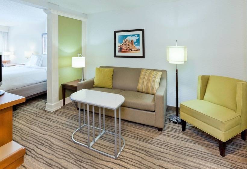 장애인을 위한 스위트, Springhill Suites Minneapolis Eden Prairie