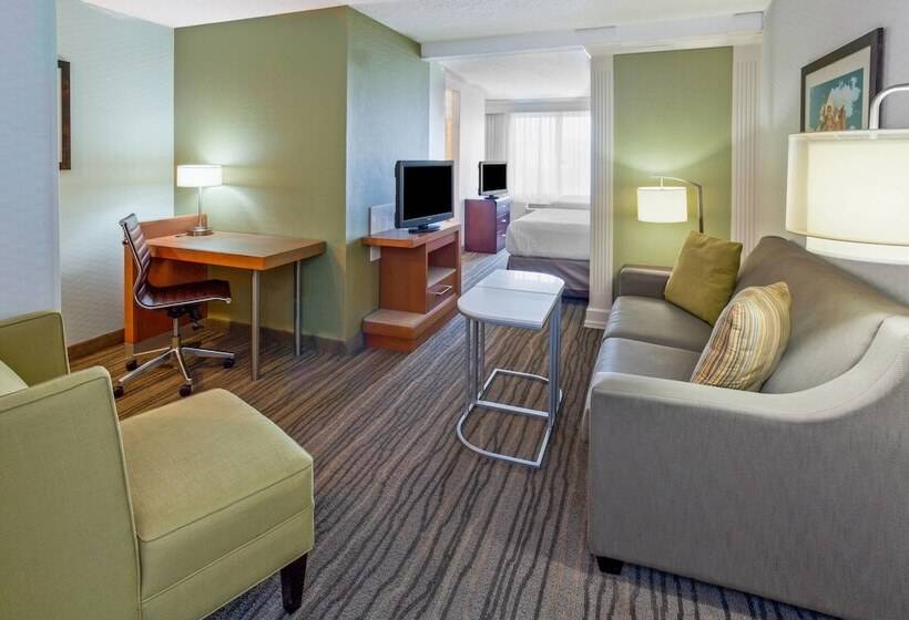장애인을 위한 스위트, Springhill Suites Minneapolis Eden Prairie