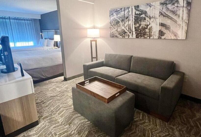 스탠다드 스튜디오, Springhill Suites Minneapolis Eden Prairie