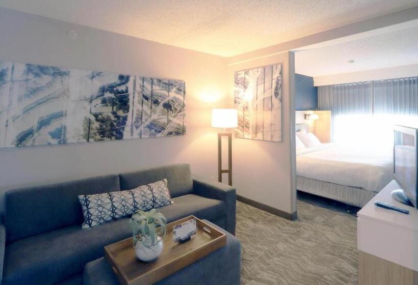 스위트 킹사이즈 침대, Springhill Suites Minneapolis Eden Prairie