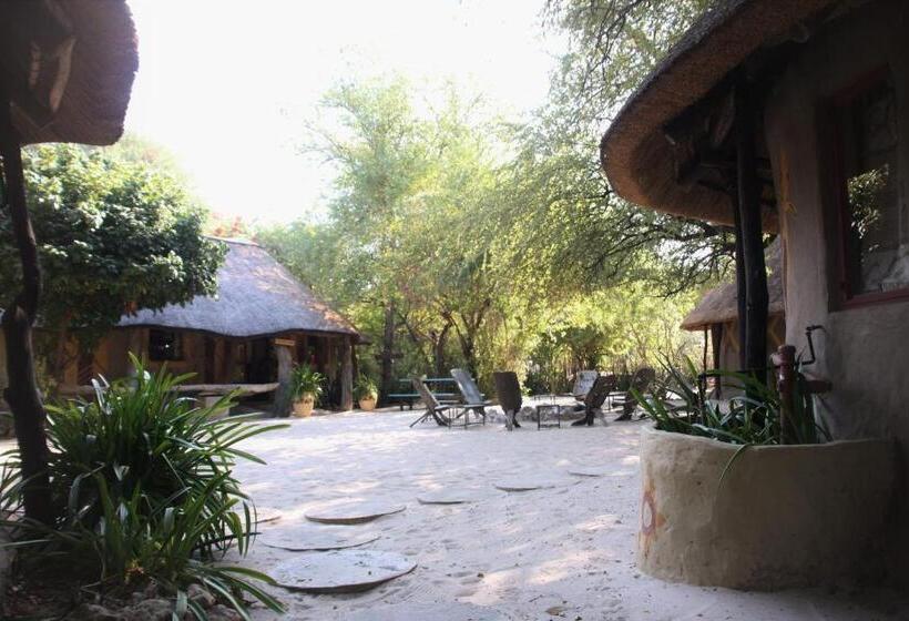 اتاق استاندارد, Discovery Bed And Breakfast