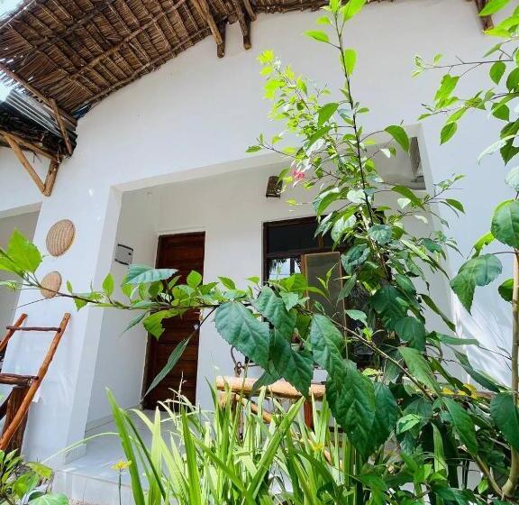 اتاق لوکس, Babalao Bungalows
