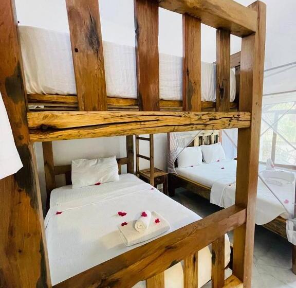 اتاق لوکس خانوادگی, Babalao Bungalows