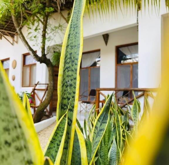اتاق لوکس خانوادگی, Babalao Bungalows