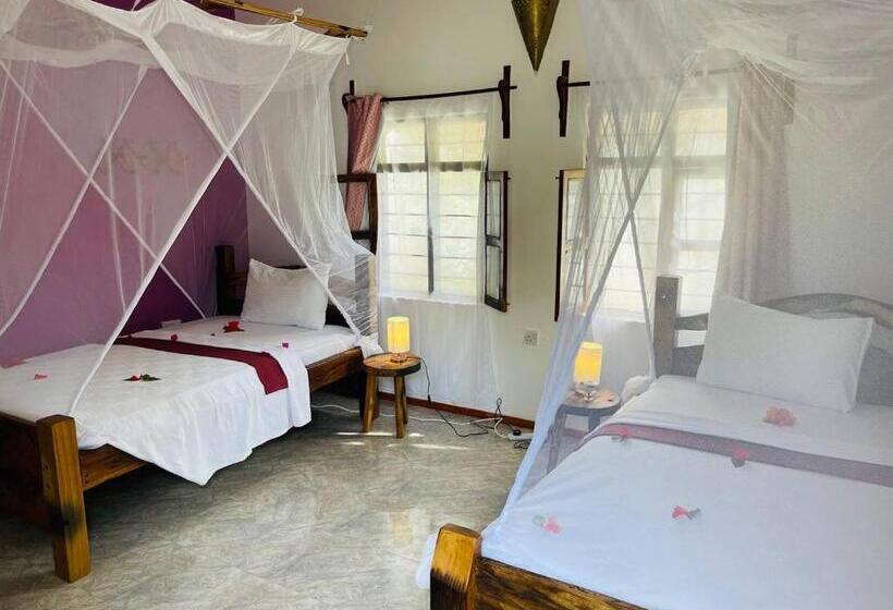اتاق استاندارد, Babalao Bungalows