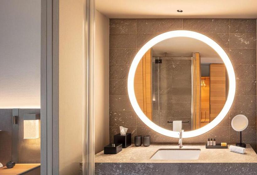 اتاق استاندارد با تخت بزرگ, Hyatt Regency Zurich Airport Circle