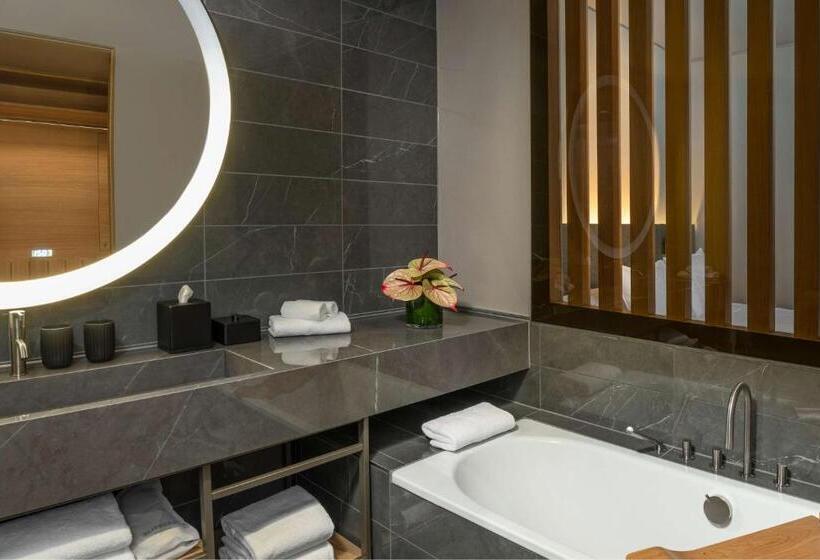 سوییت اجرایی, Hyatt Regency Zurich Airport Circle