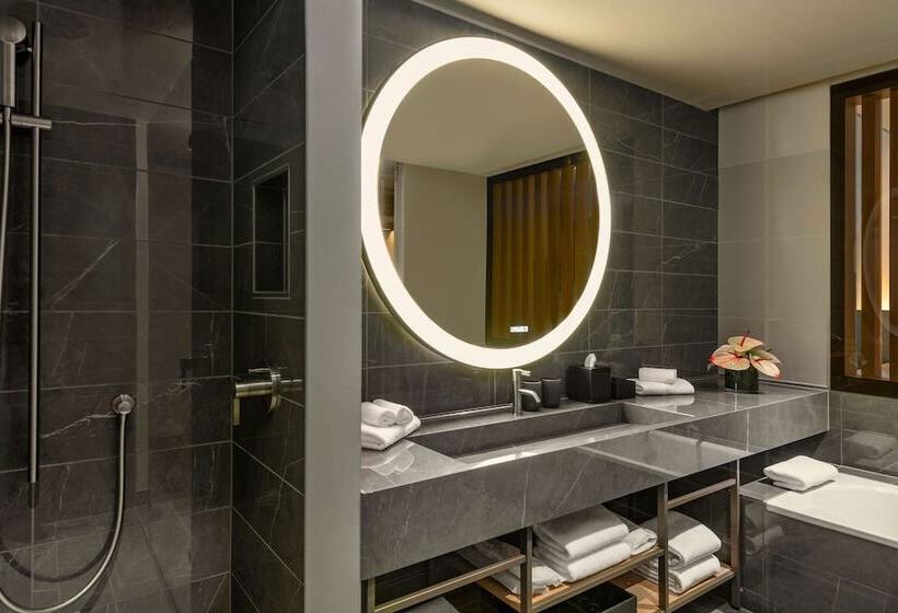 اتاق کلاب, Hyatt Regency Zurich Airport Circle