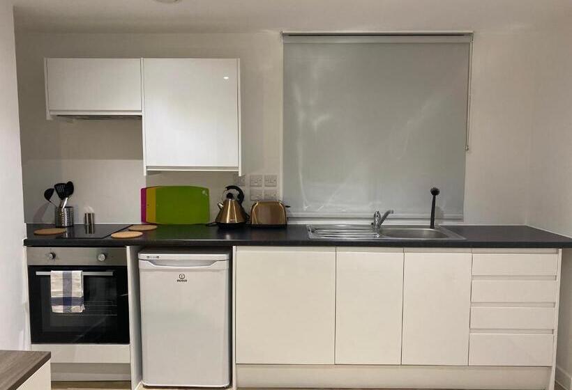 اتاق استاندارد با تخت بزرگ, Ps Apartments