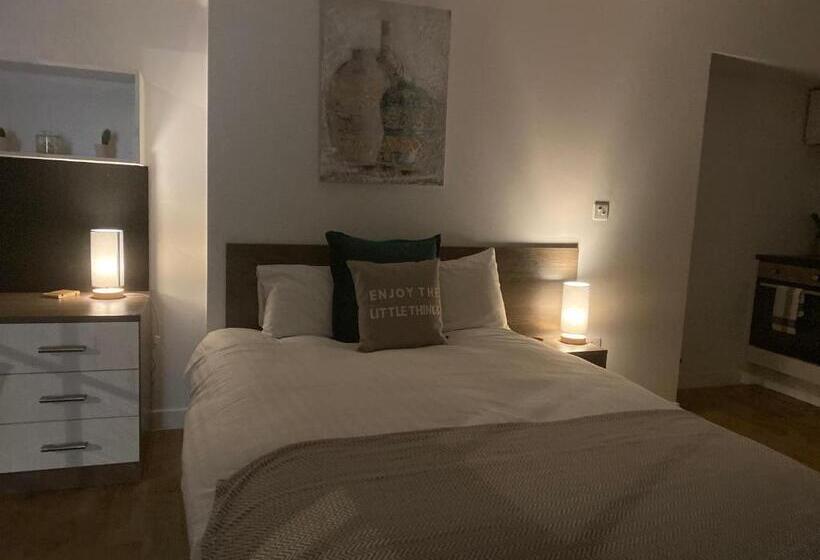 اتاق استاندارد با تخت بزرگ, Ps Apartments