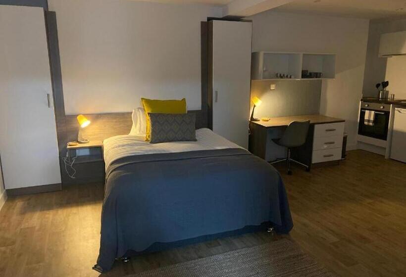 اتاق استاندارد با تخت بزرگ, Ps Apartments