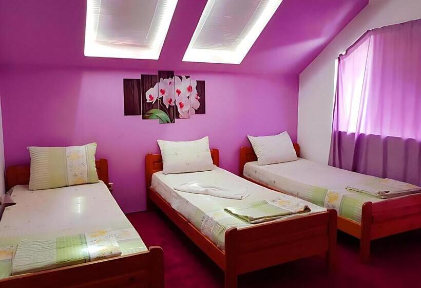 סוויטה עם טרסה, Guesthouse Flora