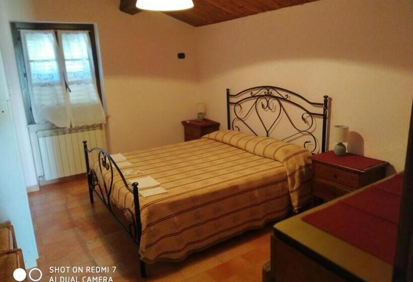 Апартаменты 1 Спальня с Террасой, Agriturismo Bellebuono