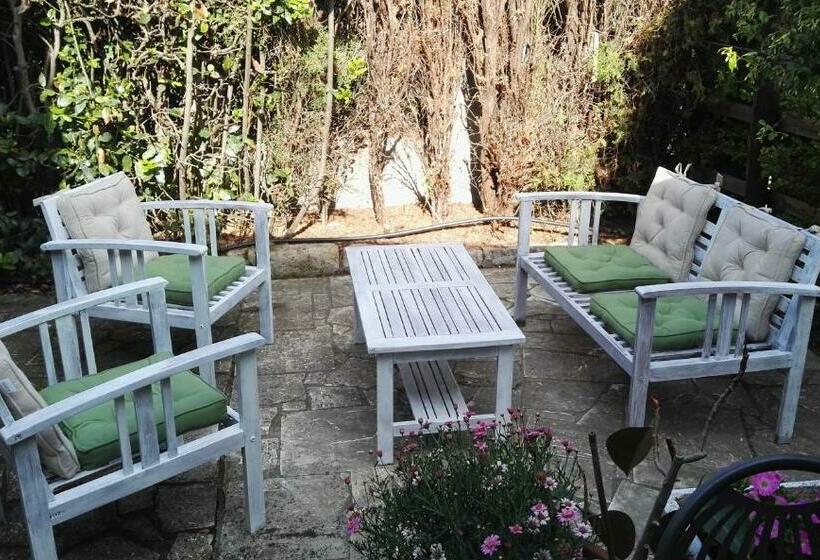 غرفة قياسية, La Mimosa