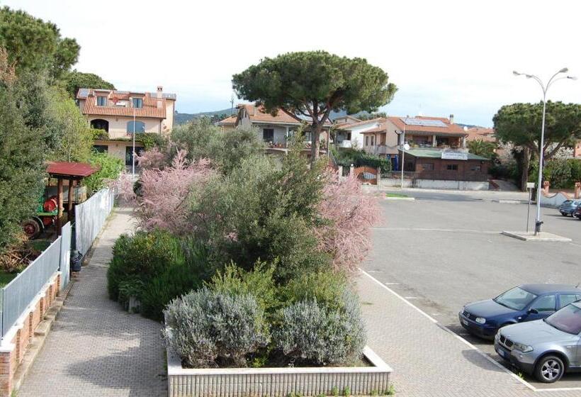 غرفة قياسية فردية, La Mimosa