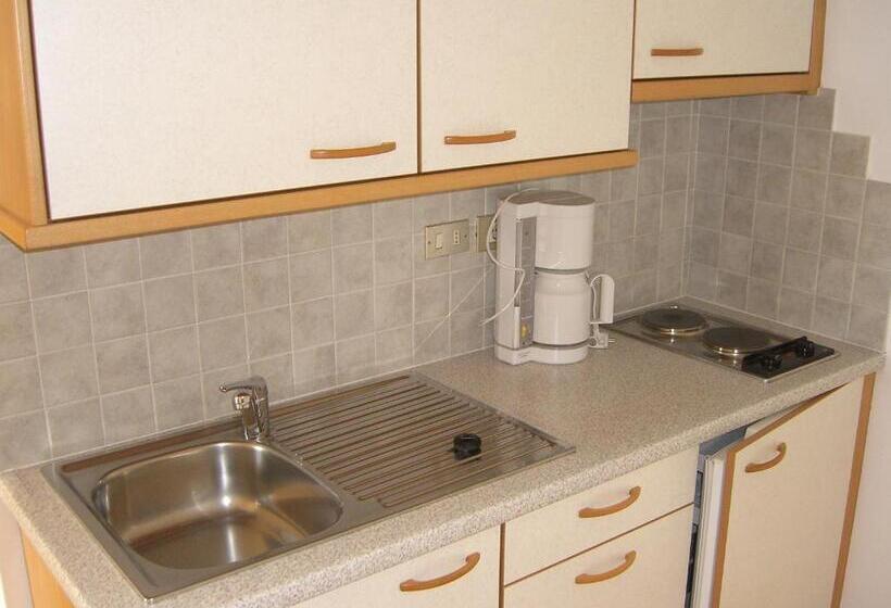 Апартаменты 1 Спальня с Видом, Residence Königsrainer
