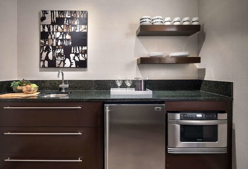 テラス付き１ベッドルームアパートメント, The Shelburne Sonesta New York