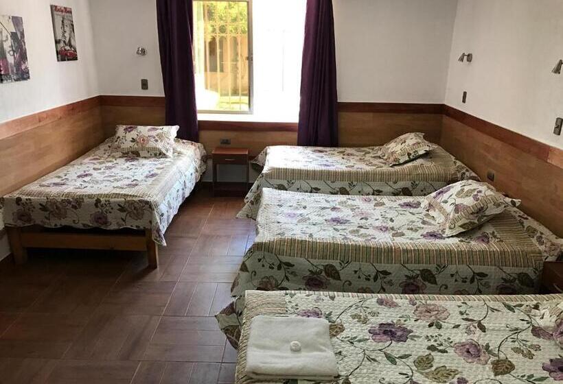 Семейный Номер, Residencial Victoria Said