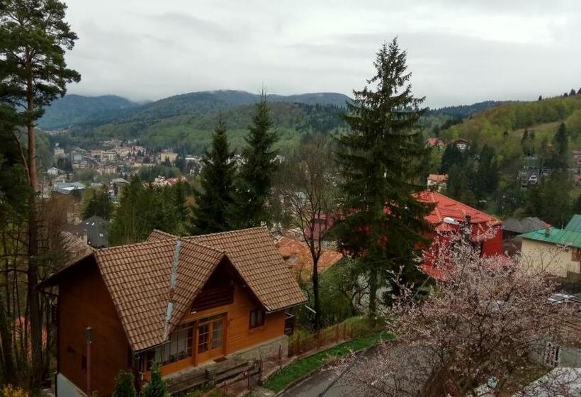مجموعه ویستا شهر, Casa Adina