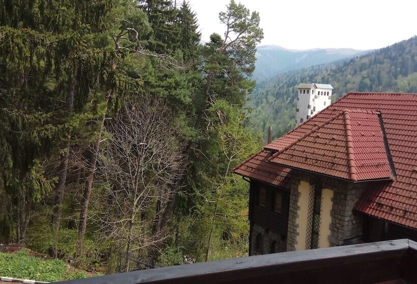 اتاق استاندارد با چشم‌انداز کوهستان, Casa Adina