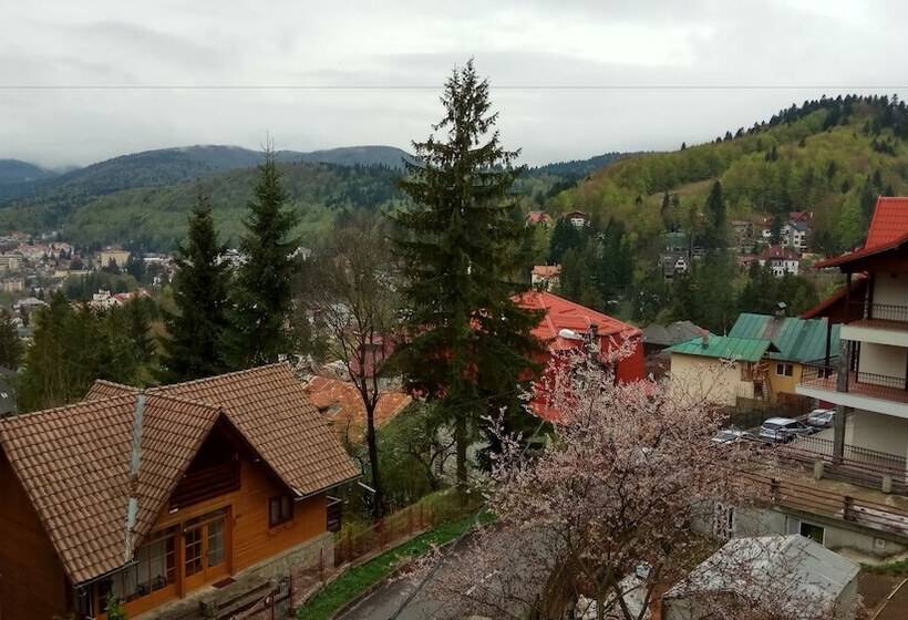 اتاق استاندارد با چشم‌انداز کوهستان, Casa Adina