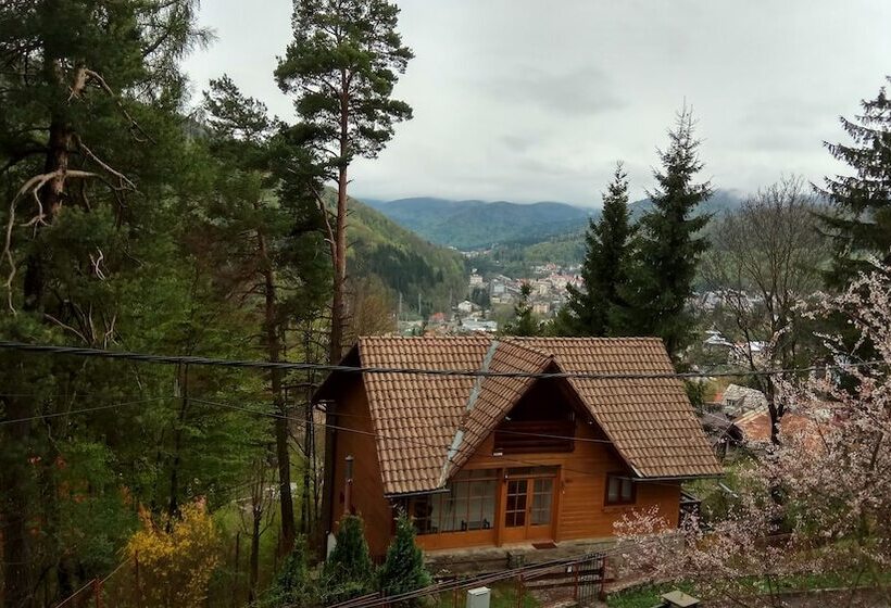 اتاق استاندارد با چشم‌انداز کوهستان, Casa Adina