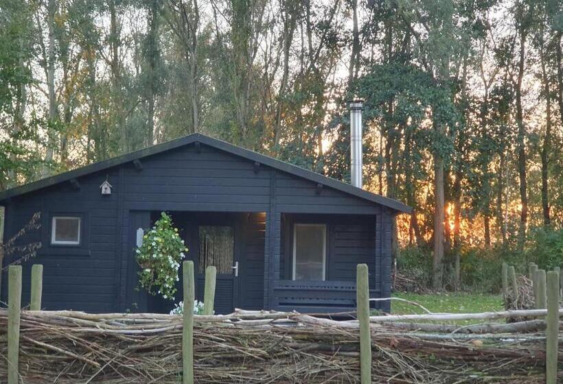 Апартаменты 1 Спальня, De Zeeuwsche Hoeve
