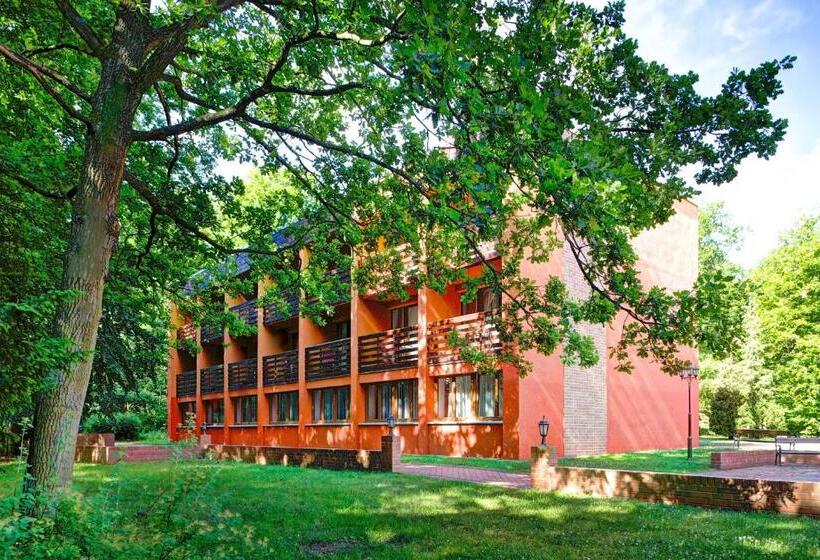 Апартаменты 1 Спальня, Jagdschloss Waldsee