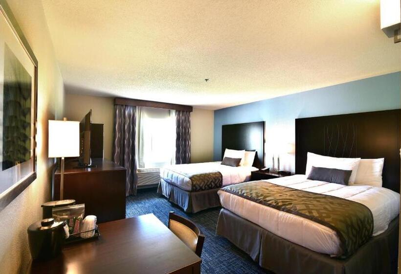 标准间, Best Western Plus Flint Airport Inn & Suites
