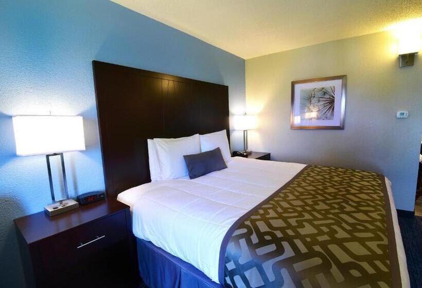 适合残疾人使用的标准间, Best Western Plus Flint Airport Inn & Suites