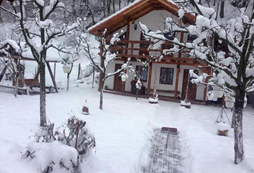 منزل 4 غرف نوم, Cabana Carolina