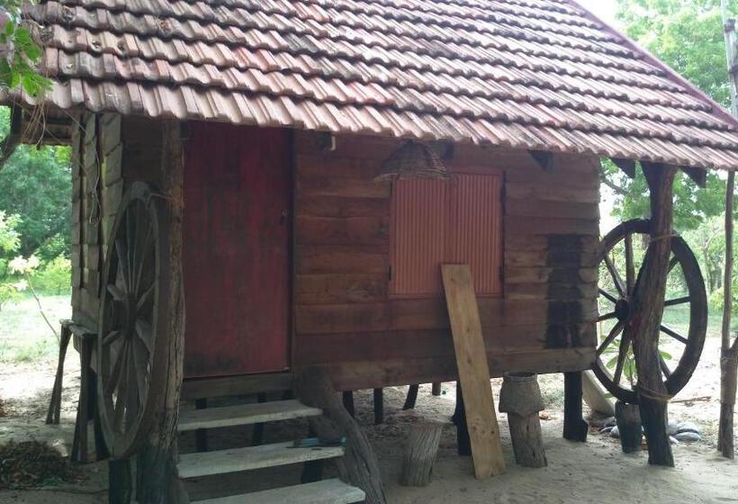 Номер Стандарт, Light House Beach Hut