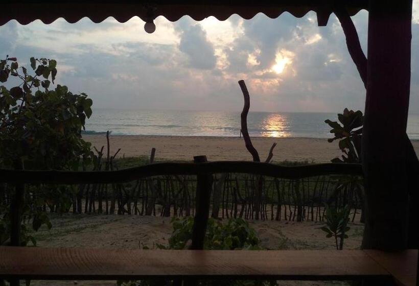 Номер Стандарт Индивидуальный, Light House Beach Hut