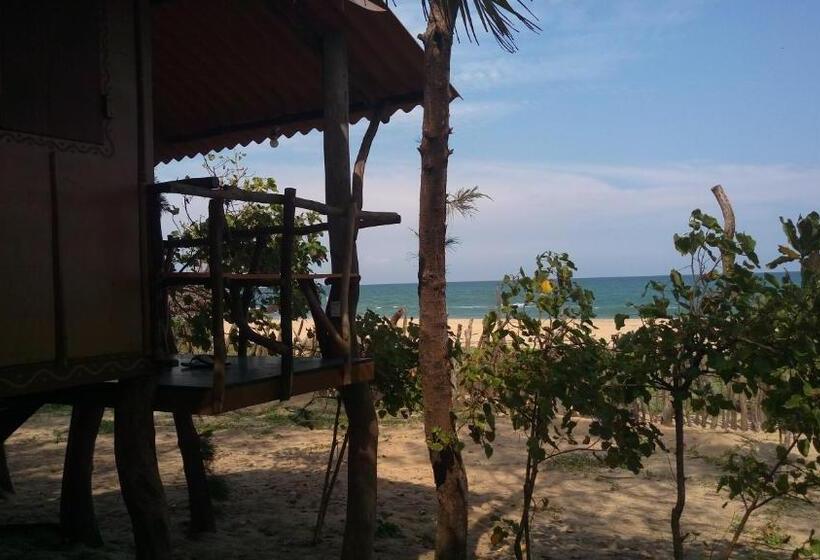 Номер Стандарт Индивидуальный, Light House Beach Hut