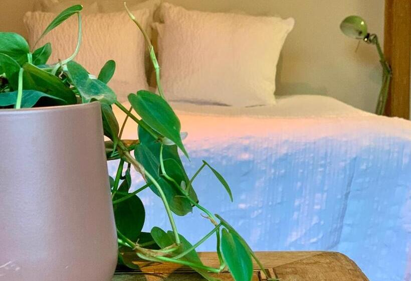 اتاق استاندارد با تخت بزرگ, Vakantiewoning Guesthouse Momo