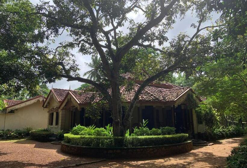 带大床的标准间, Sri Mathie Historic Estate