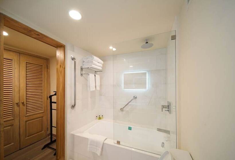 سوییت جونیور, Real Intercontinental San Salvador, An Ihg