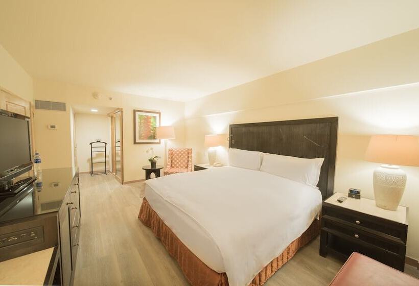 سوییت جونیور, Real Intercontinental San Salvador, An Ihg