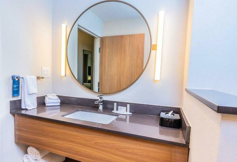 Стандартный Номер Кровать Кинг, Fairfield Inn & Suites By Marriott Houston League City