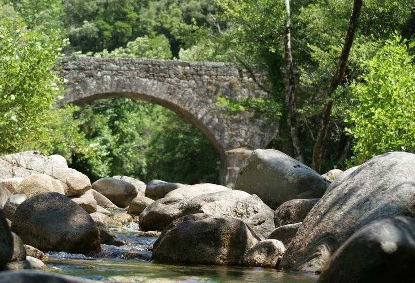 Номер Стандарт, Domaine U Bugnu