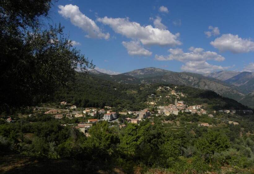 Четырехместный Номер Стандарт, Domaine U Bugnu