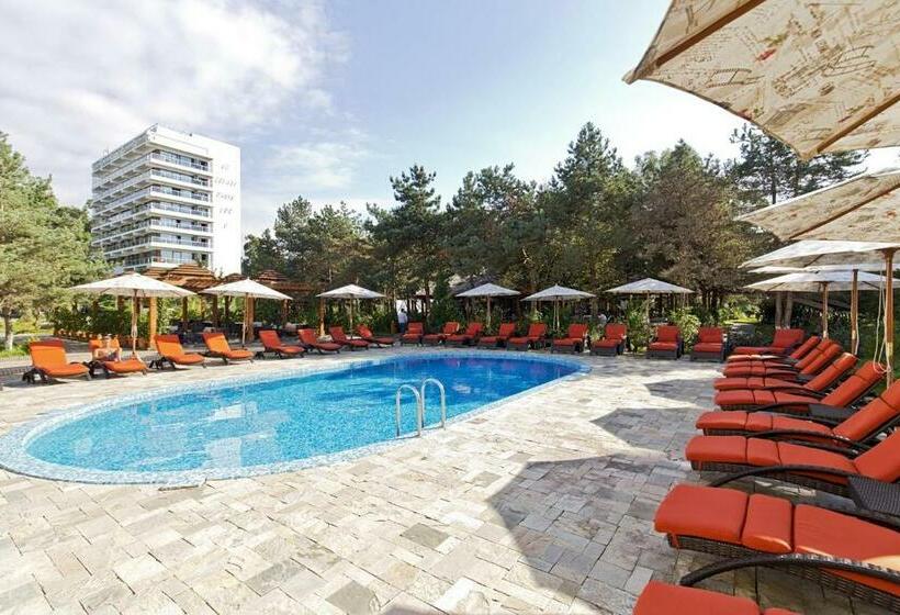 استودیوی استاندارد, Dreamland Oasis 7 Chakvi