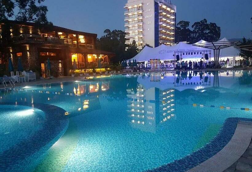 استودیوی استاندارد, Dreamland Oasis 7 Chakvi
